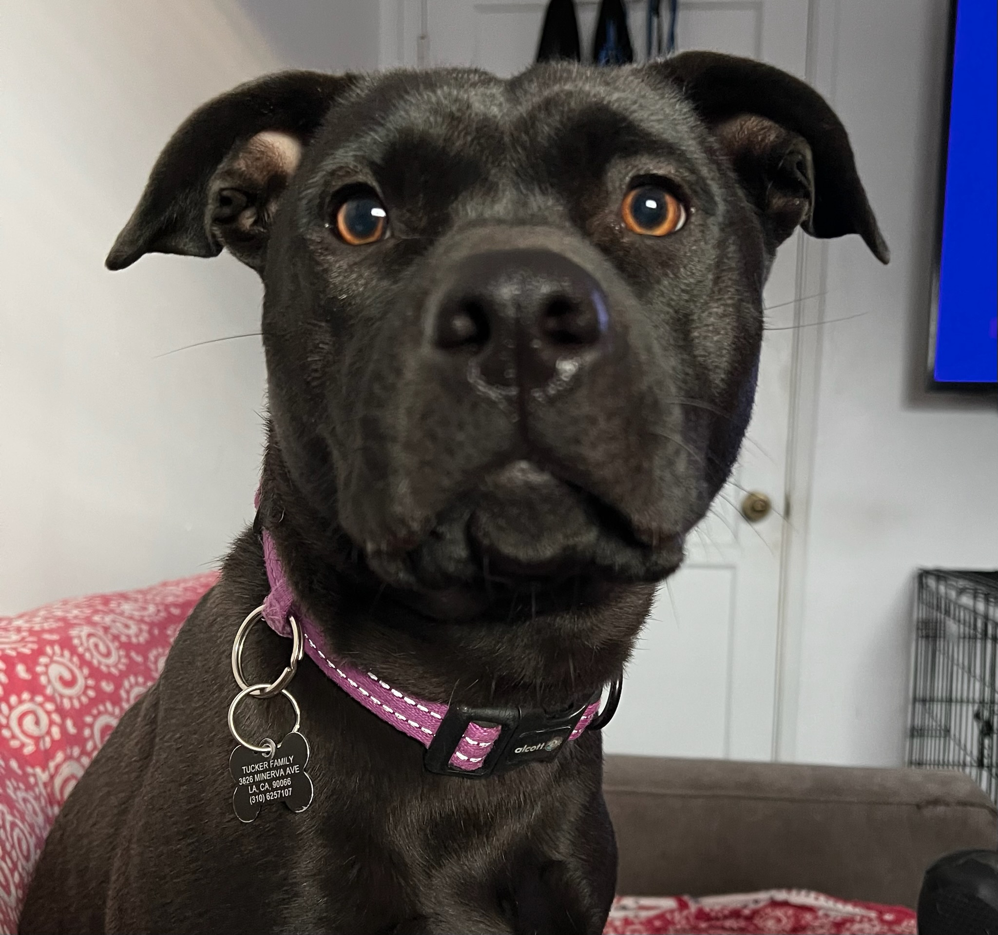 20250723-211500414-b4b4-0d67f024c0aa_download _1_.jpeg